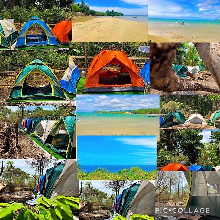 Campsarap Hostel & Resort Valencia  Dış mekan fotoğraf