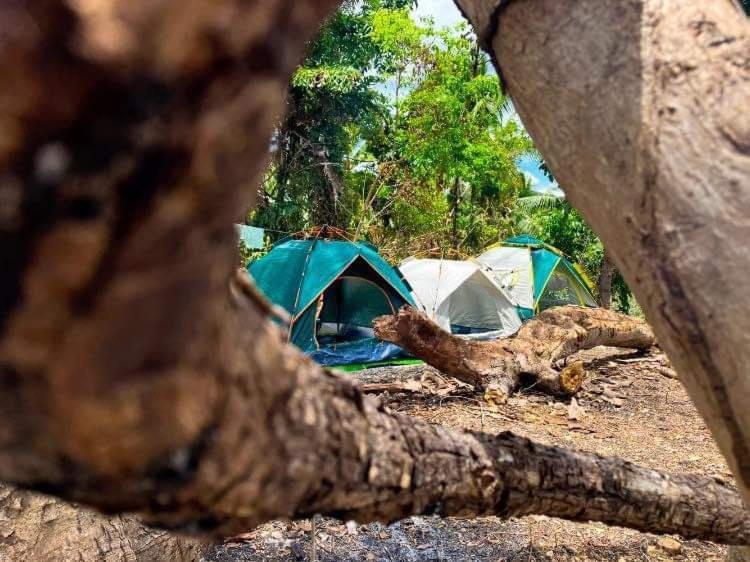 Campsarap Hostel & Resort Valencia  Dış mekan fotoğraf