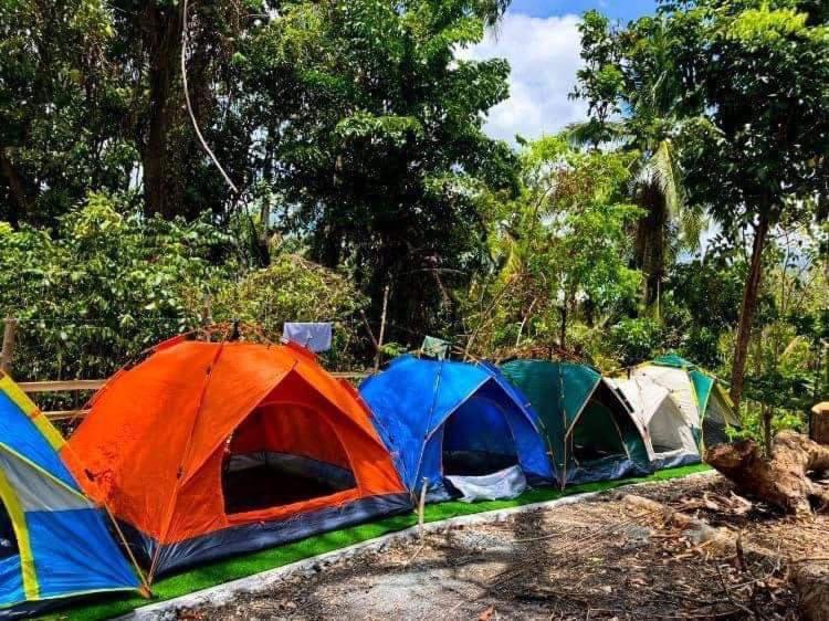 Campsarap Hostel & Resort Valencia  Dış mekan fotoğraf