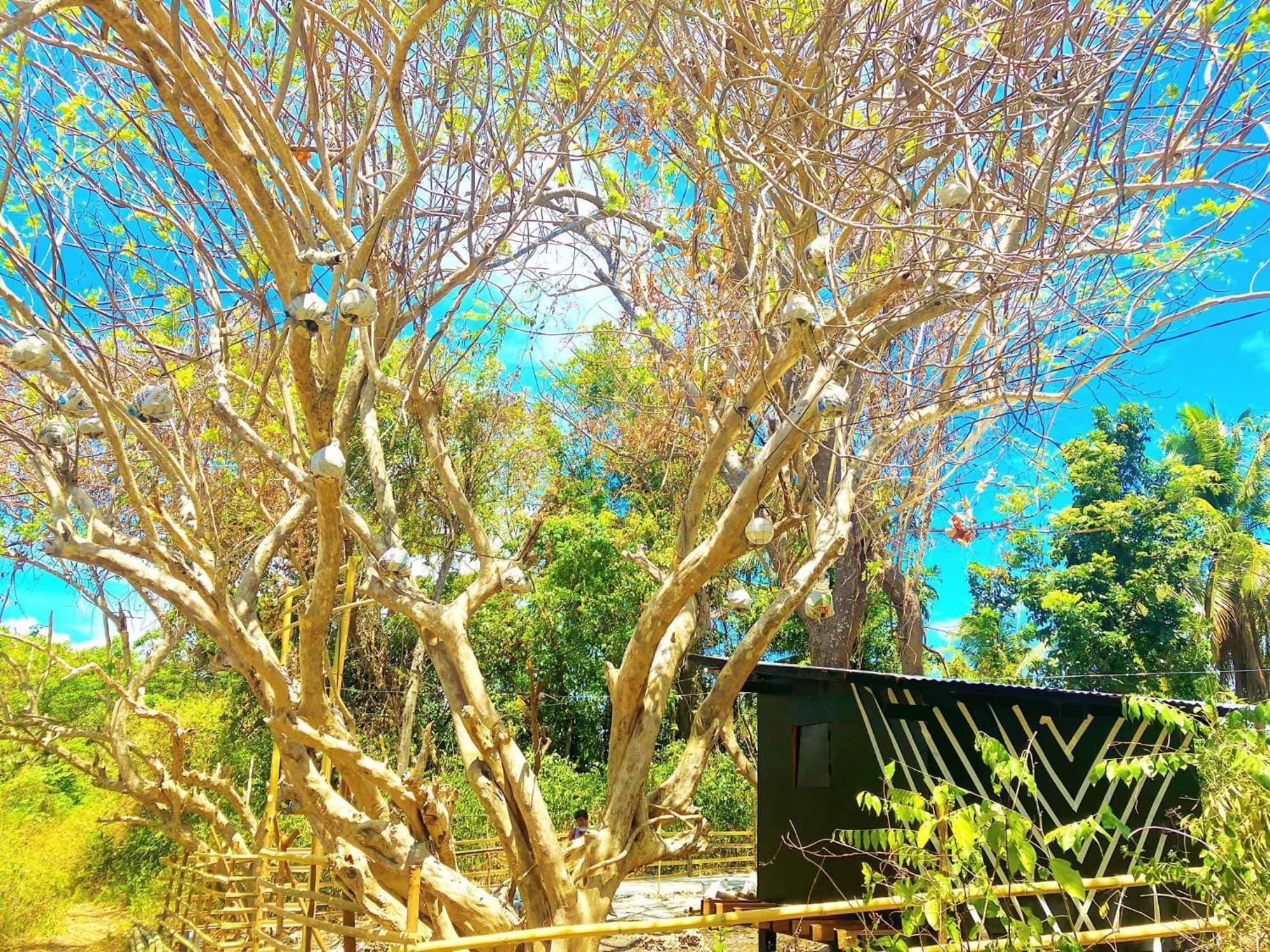 Campsarap Hostel & Resort Valencia  Dış mekan fotoğraf