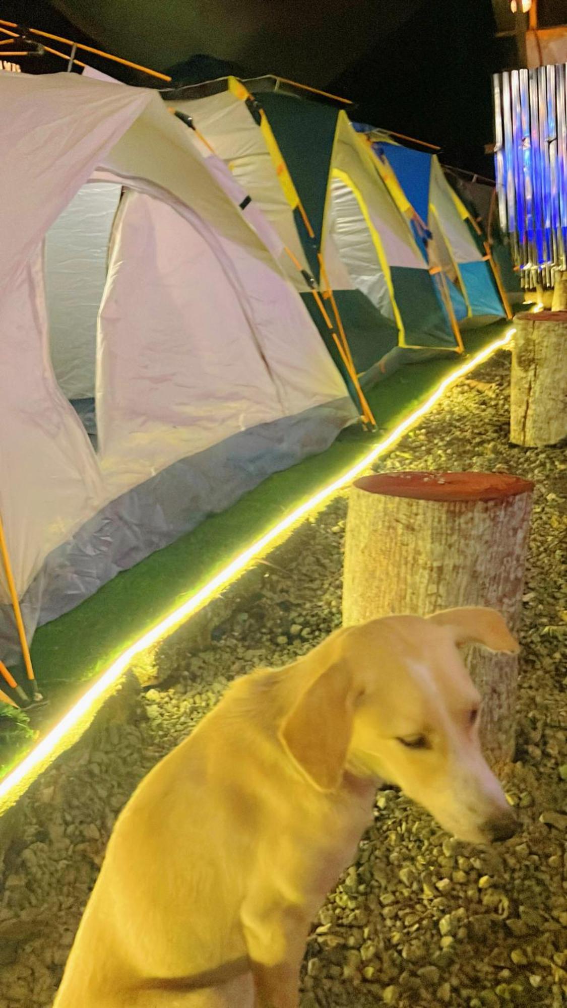 Campsarap Hostel & Resort Valencia  Dış mekan fotoğraf